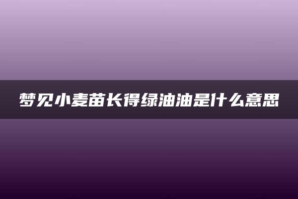 梦见小麦苗长得绿油油是什么意思