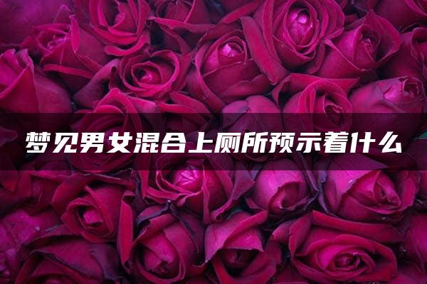 梦见男女混合上厕所预示着什么