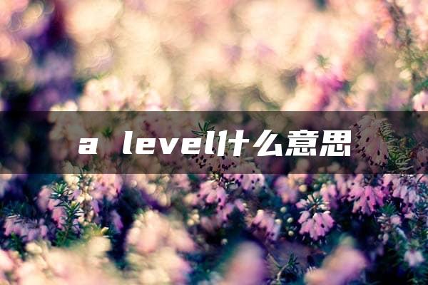 a level什么意思