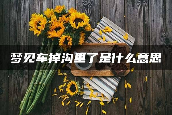 梦见车掉沟里了是什么意思