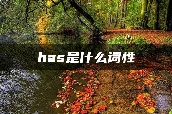 has是什么词性