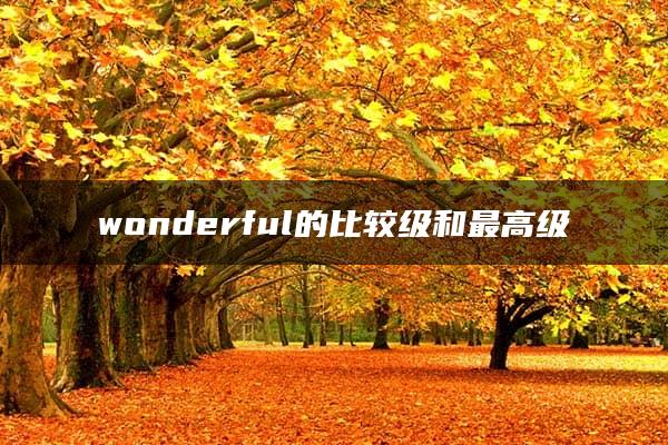 wonderful的比较级和最高级