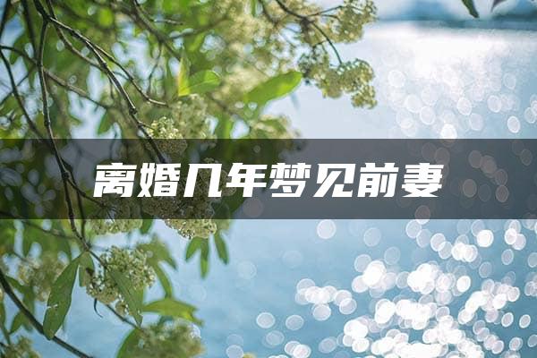 离婚几年梦见前妻