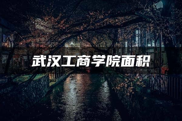 武汉工商学院面积