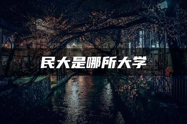 民大是哪所大学