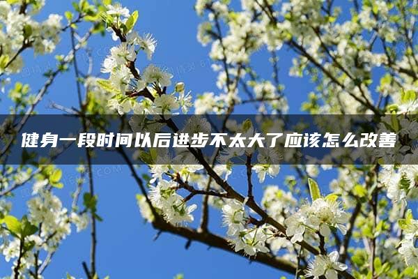 健身一段时间以后进步不太大了应该怎么改善