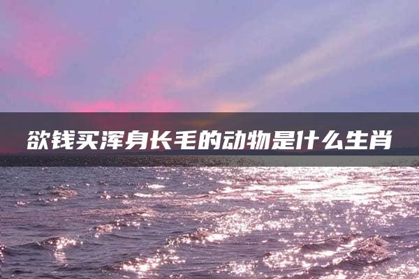 欲钱买浑身长毛的动物是什么生肖