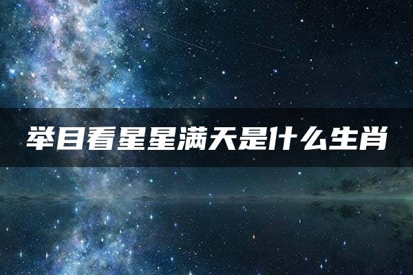 举目看星星满天是什么生肖