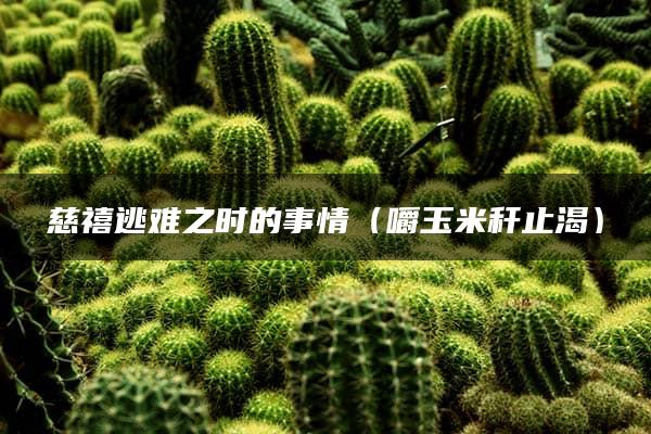 慈禧逃难之时的事情（嚼玉米秆止渴）