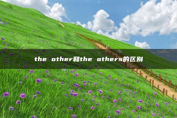 the other和the others的区别