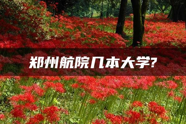 郑州航院几本大学?