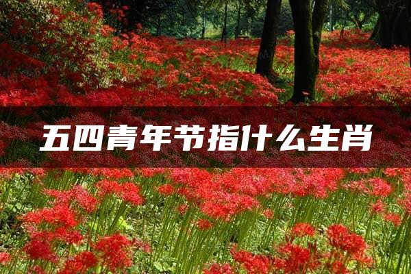 五四青年节指什么生肖