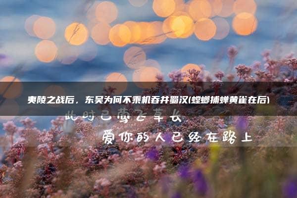 夷陵之战后，东吴为何不乘机吞并蜀汉(螳螂捕蝉黄雀在后)