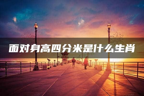 面对身高四分米是什么生肖