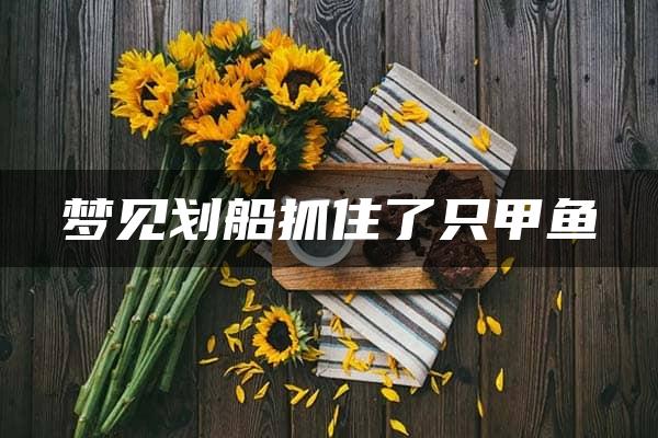 梦见划船抓住了只甲鱼