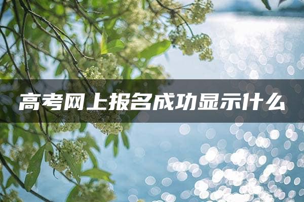 高考网上报名成功显示什么