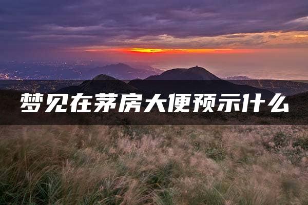 梦见在茅房大便预示什么