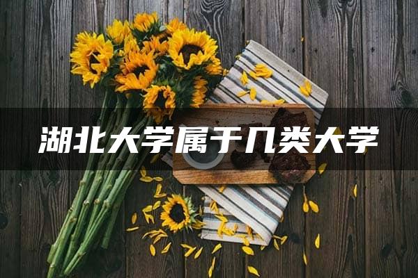 湖北大学属于几类大学