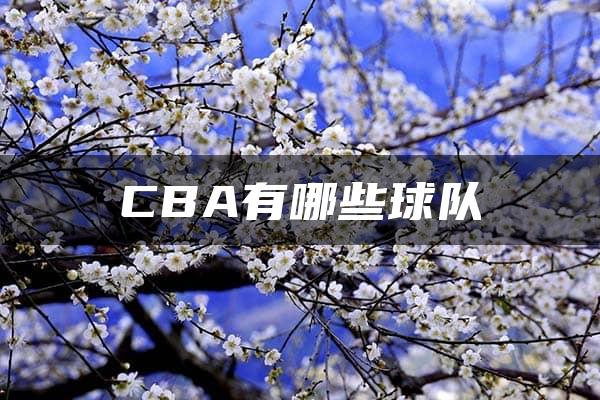 CBA有哪些球队