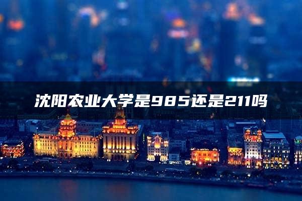 沈阳农业大学是985还是211吗