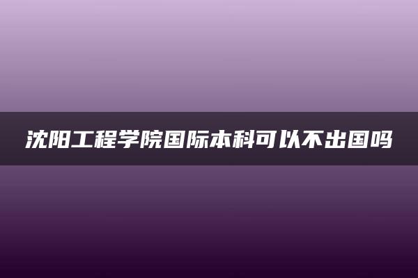 沈阳工程学院国际本科可以不出国吗