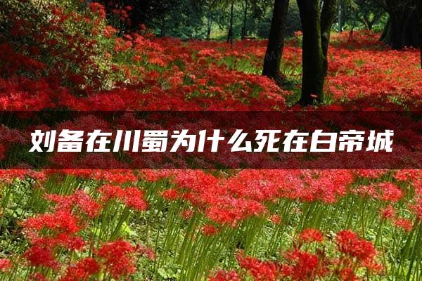 刘备在川蜀为什么死在白帝城