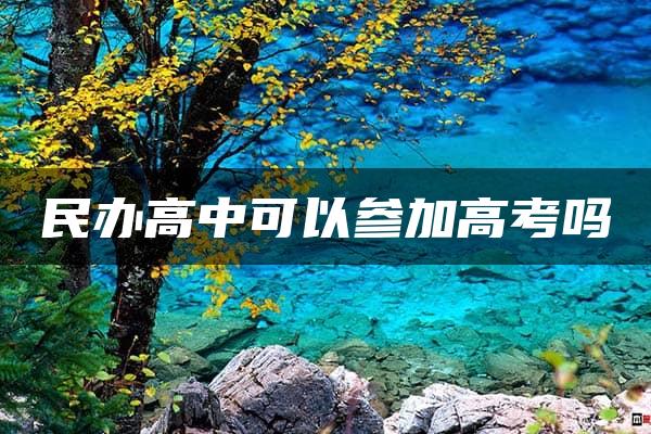 民办高中可以参加高考吗