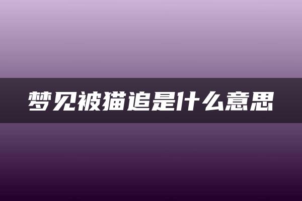 梦见被猫追是什么意思