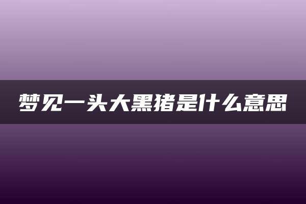 梦见一头大黑猪是什么意思