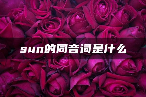 sun的同音词是什么