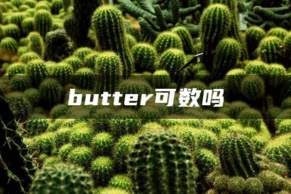 butter可数吗