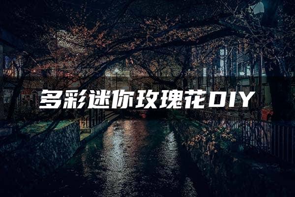 多彩迷你玫瑰花DIY