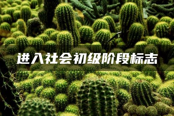 进入社会初级阶段标志