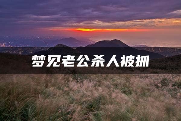 梦见老公杀人被抓