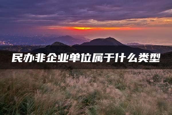 民办非企业单位属于什么类型