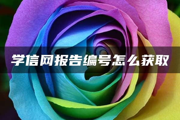 学信网报告编号怎么获取