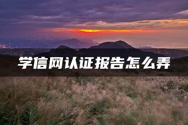 学信网认证报告怎么弄