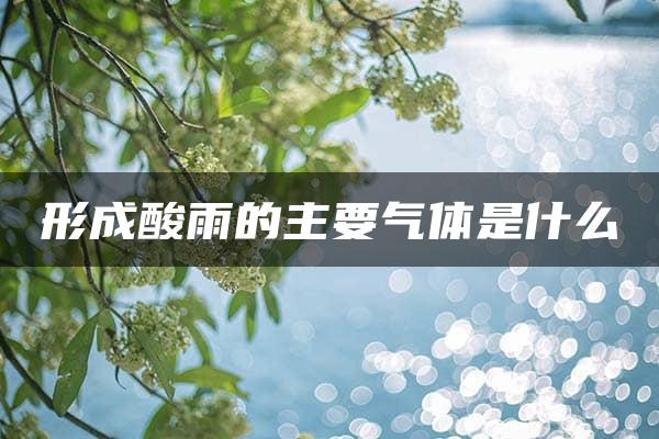 形成酸雨的主要气体是什么