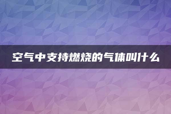 空气中支持燃烧的气体叫什么