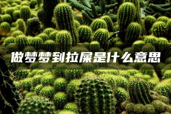 做梦梦到拉屎是什么意思