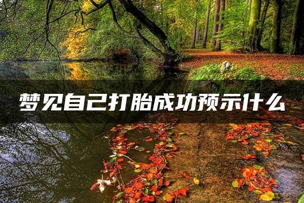 梦见自己打胎成功预示什么