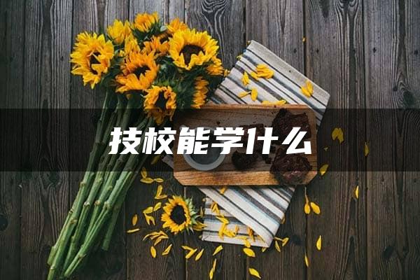 技校能学什么