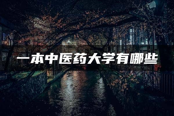 一本中医药大学有哪些