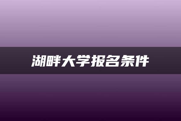 湖畔大学报名条件