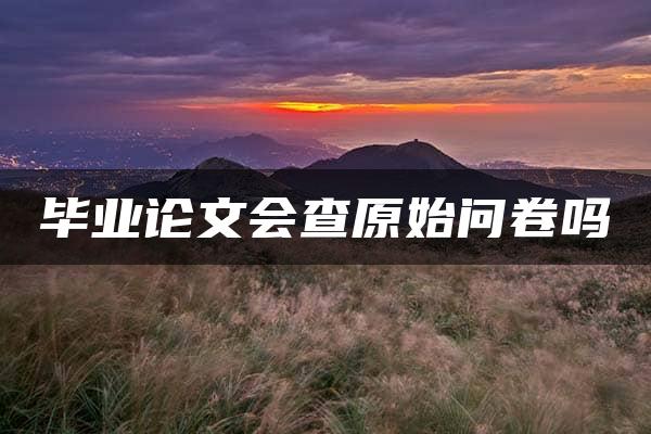 毕业论文会查原始问卷吗