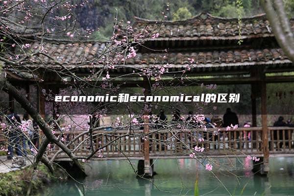 economic和economical的区别