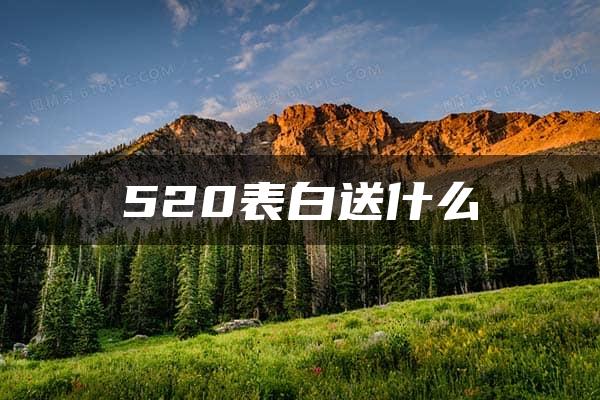 520表白送什么