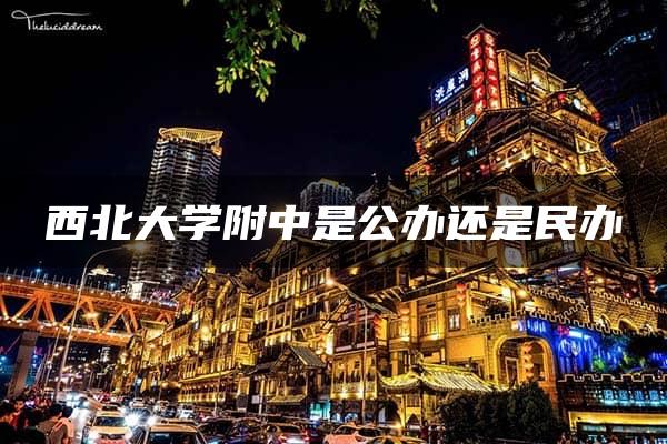 西北大学附中是公办还是民办