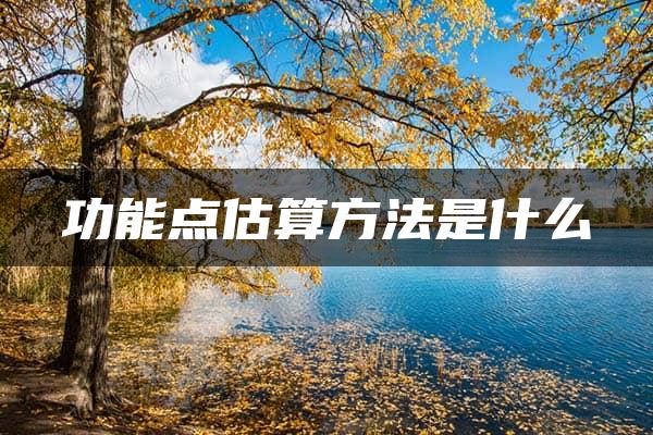 功能点估算方法是什么