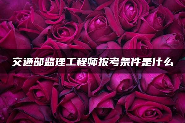 交通部监理工程师报考条件是什么